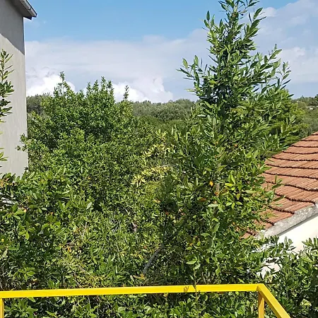Apartment Seaside Terrace Apartments: Spacious Seaview With Free Amenities