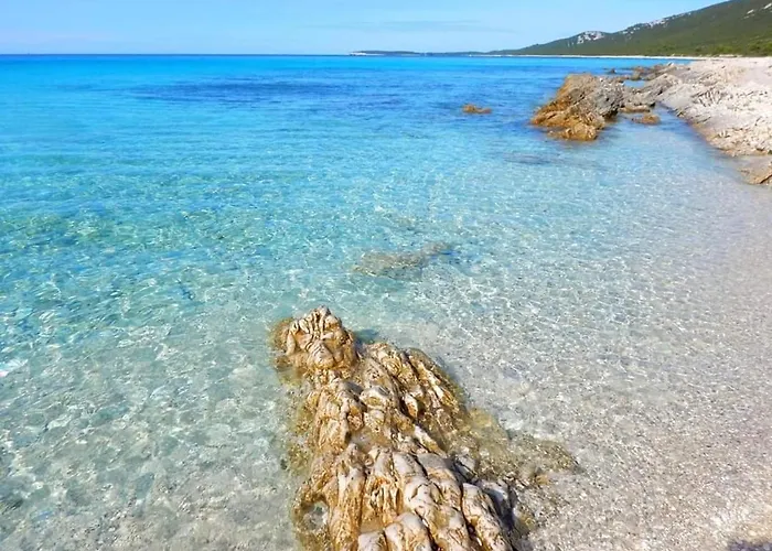 Extra Spacious Seaview Close To The Beach, With Large Terraces And Free Wi-fi & Ac & Bbq & Parking Space *