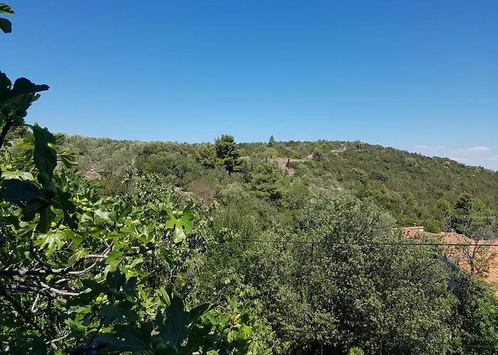 Extra Spacious Seaview Close To The Beach, With Large Terraces And Free Wi-fi & Ac & Bbq & Parking Space Апартаменты Zaglav